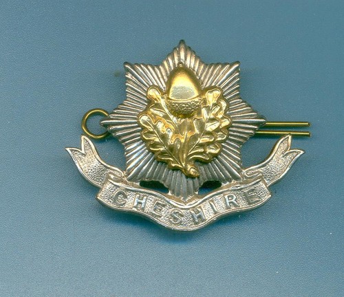 Cheshire regiment metal - cheshire, regiment.bi-metal