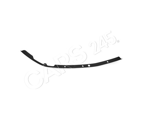 Bumper moulding front - bumper,