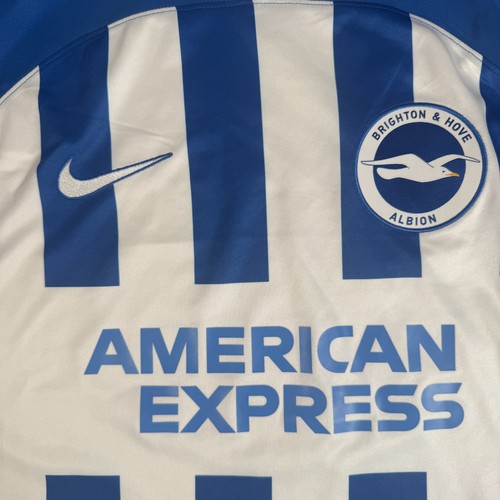 Brighton hove albion - brighton,