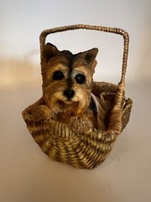 Yorkshire Terrier In Basket