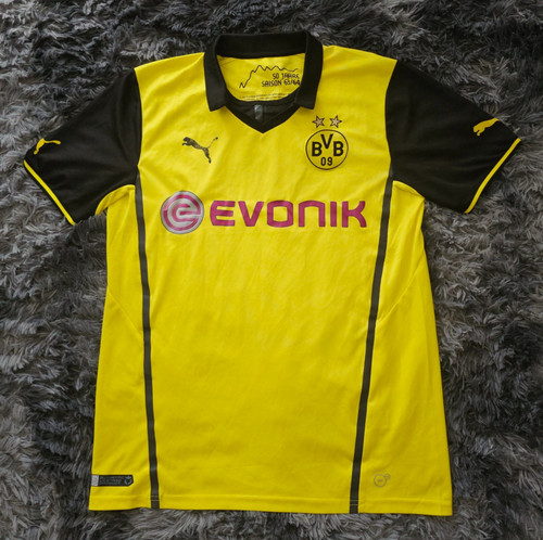 Borussia dortmund 2013 2014 - borussia, 2013/2014