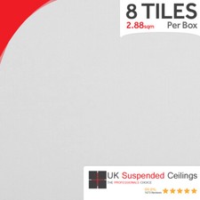 Suspended Ceiling Plain White