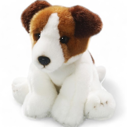 Carl dick jack russel - carl, terrier