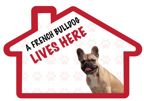 French bulldog lives here - bulldog,