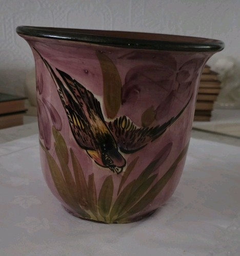 Lemon crute finch iris - lemon, &