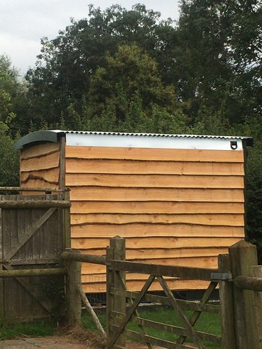 Mtrs cladding waney - 30, sq