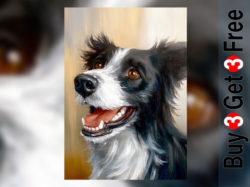 Expressive border collie dog - collie,