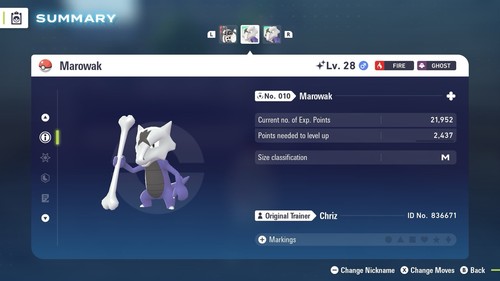 Shiny alolan marowak - marowak, pokémon