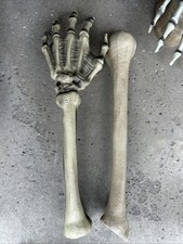 Home Depot 12ft Skeleton