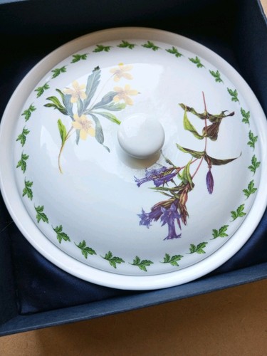 Regal bone china lidded pot - bone,