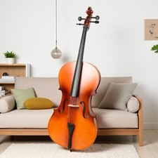 4/4 Full Size Beginner