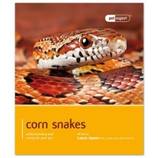 Corn Snakes - Pet Expert