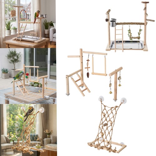 Parrot playstand bird - parrot,