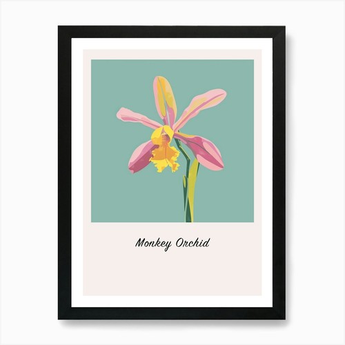 Monkey orchid square flower - 1,
