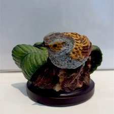 The Country Bird Collection