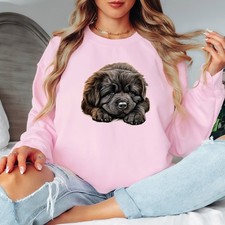 Newfoundland Puppy Dog Animals