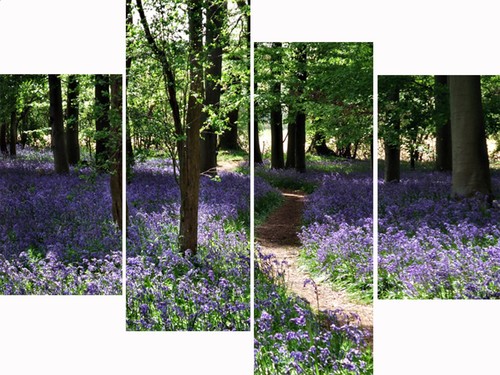 Large multi panel set bluebell - panel,