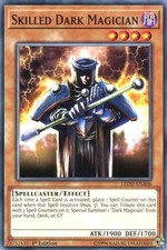 Skilled Dark Magician -