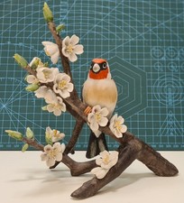 RSPB Franklin Mint European