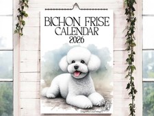 Bichon Frise 2026-Dog