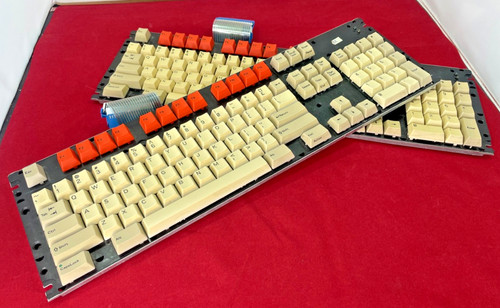 Acorn archimedes - acorn,