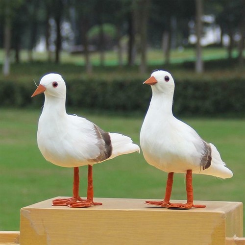 Simulation seagull home garden - seagull,