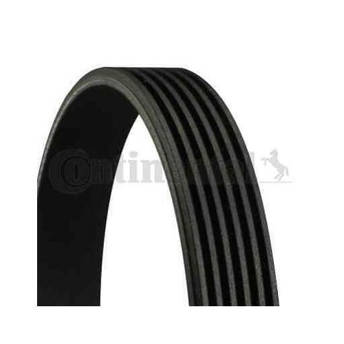 Continental ctam 6pk2225 - continental,