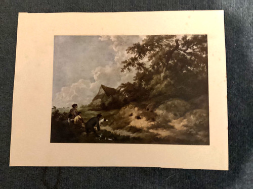 Rabbiting colour print - rabbiting,,