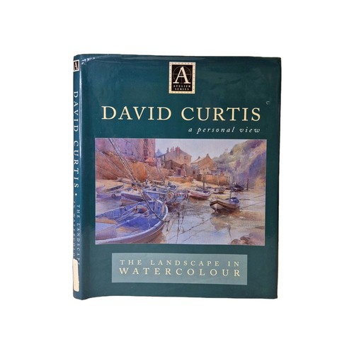 David curtis the landscape - david, in