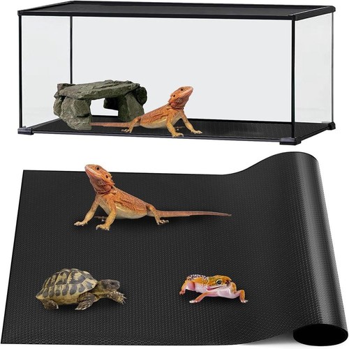 Reptile matreptile terrarium - matreptile,
