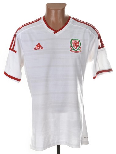 Wales national team - wales, 2014/2015