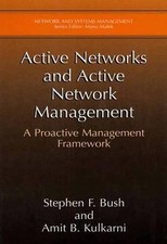 Active Networks and Active