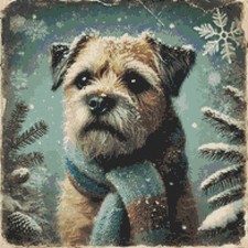 Border Terrier Puppy Dog