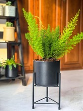 DIPAMKAR Black Plant Pot Stand