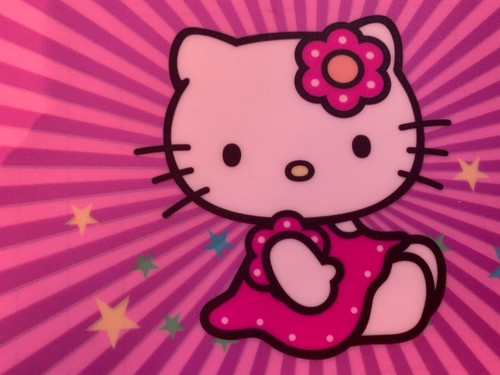 Kitty flashing shirt - flashing,