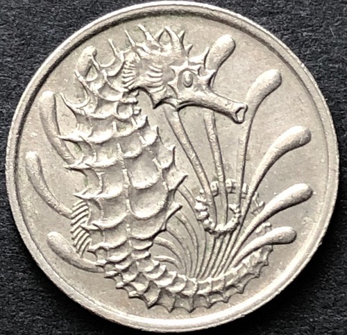 Seahorse coin singapore - seahorse, coin-singapore