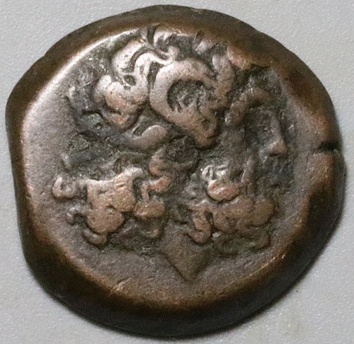116 ptolemy xii ae21 - 116-51,
