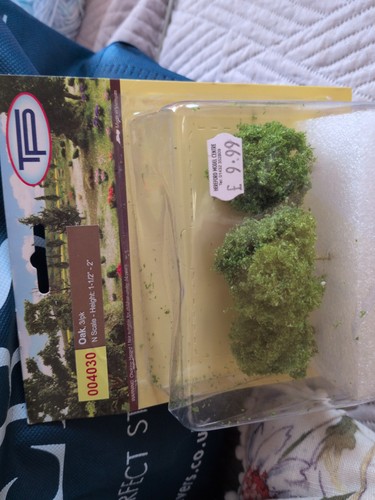 Scale oak trees - oak, for