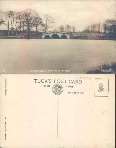 Wrightington fish pond - fish, bridge