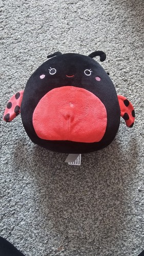 Squishmallow ladybird - squishmallow,