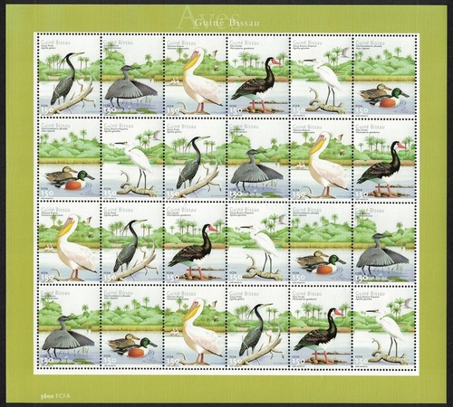 Heron egret pelican goose - egret,
