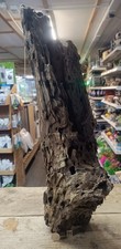 Large dragon wood - dragon,
