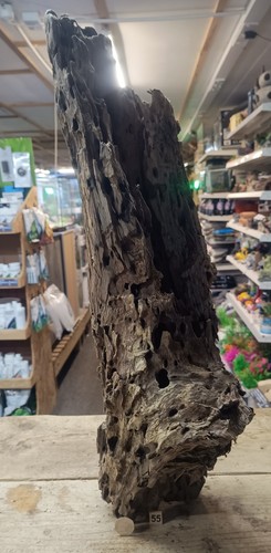 Large dragon wood - &, xl