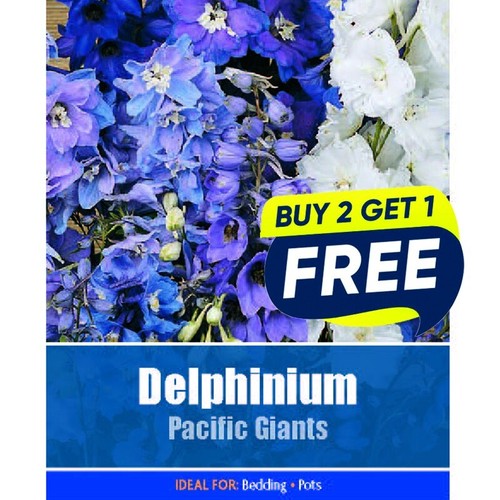 Flower seeds delphinium - seeds,