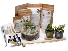 DIY Desert Terrarium Kit 15 cm Glass Jar Cactus and Succulent DIY Gift 'Cancun'