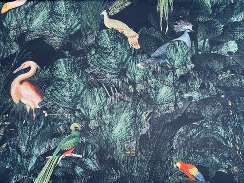 Jungle birds palm leaves - jungle,