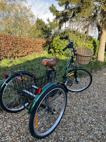Jorvik folding trike - trike, /