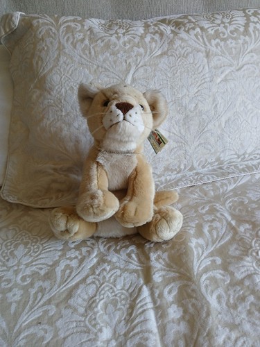 Lion cub soft plush toy - lion,