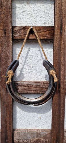 Rustic lucky horseshoe - rustic,