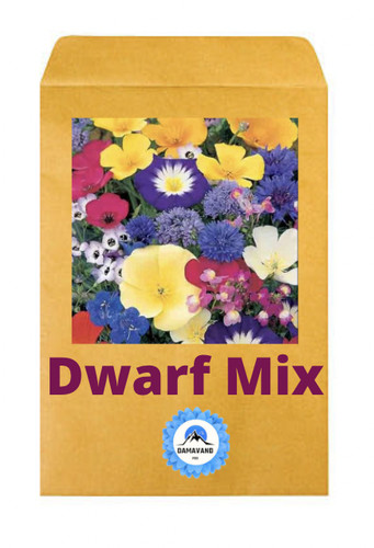 1500 seeds dwarf wild - 1500,